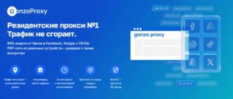 GonzoProxy